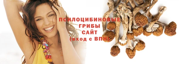 mdpv Алзамай