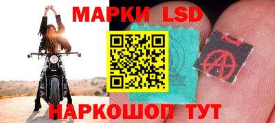 соль ск Новозыбков