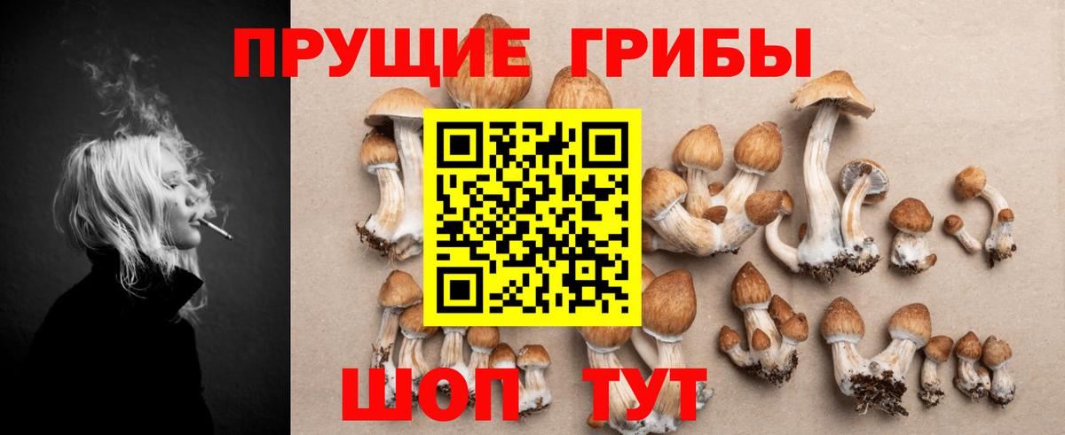 Псилоцибиновые грибы мицелий Уварово