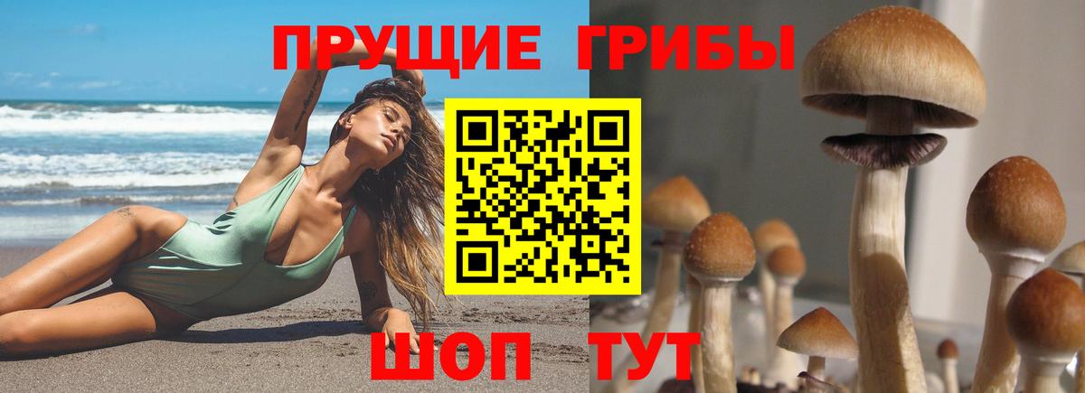 Псилоцибиновые грибы Psilocybe  Галлюциногенные грибы мухоморы  Уварово  Вход с VPN 